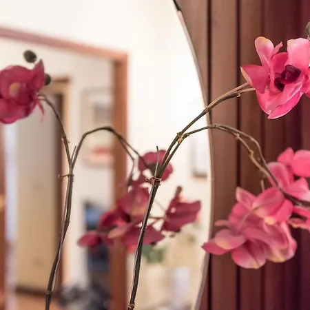 Tpc Island City Break Apartment Porto
